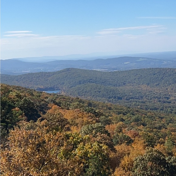 Meet your Posher, Chelsea - Picture 4 of 8